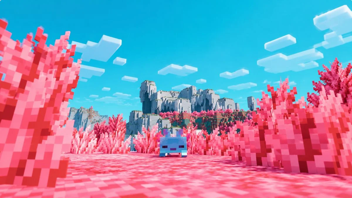 Minecraft's First New Dimension